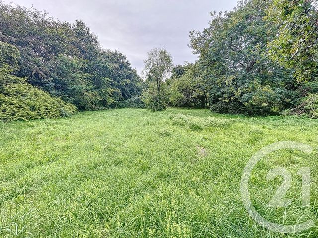 terrain à vendre - 931.0 m2 - PLOUGASTEL DAOULAS - 29 - BRETAGNE - Century 21 Associés Conseils Immobilier