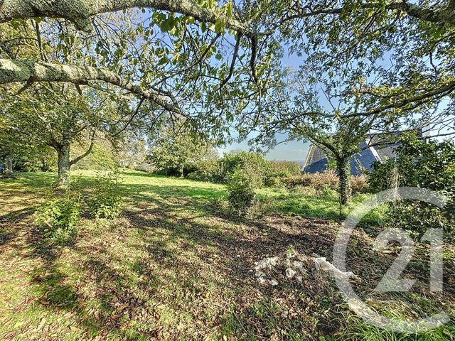 terrain à vendre - 998.0 m2 - PLOUGASTEL DAOULAS - 29 - BRETAGNE - Century 21 Associés Conseils Immobilier