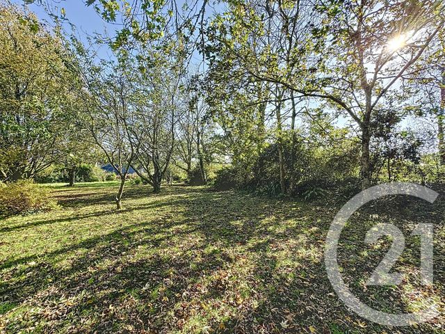 terrain à vendre - 998.0 m2 - PLOUGASTEL DAOULAS - 29 - BRETAGNE - Century 21 Associés Conseils Immobilier