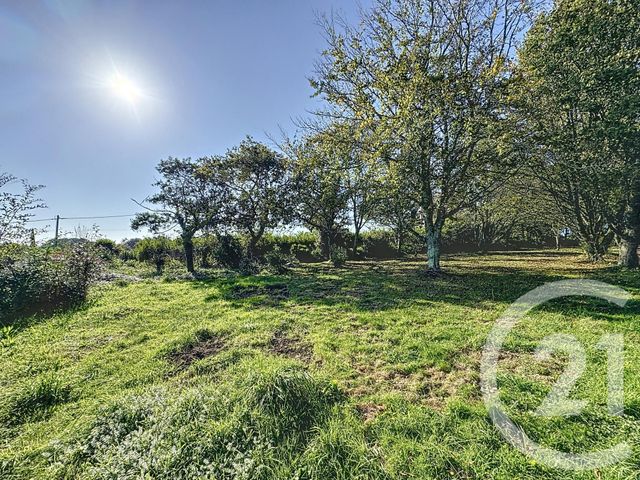 terrain à vendre - 998.0 m2 - PLOUGASTEL DAOULAS - 29 - BRETAGNE - Century 21 Associés Conseils Immobilier