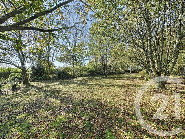 terrain à vendre - 998.0 m2 - PLOUGASTEL DAOULAS - 29 - BRETAGNE - Century 21 Associés Conseils Immobilier