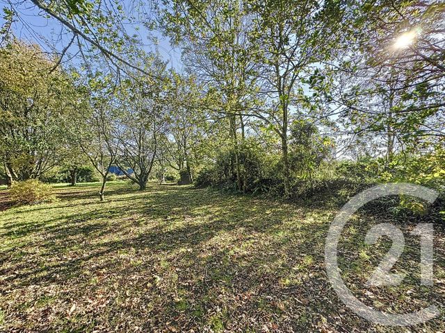 terrain à vendre - 998.0 m2 - PLOUGASTEL DAOULAS - 29 - BRETAGNE - Century 21 Associés Conseils Immobilier
